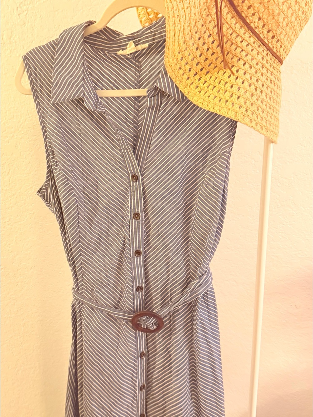 Sleeveless Blue and White Striped Button-Front Shirt Dress